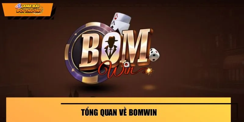 bomwin-tong-quan