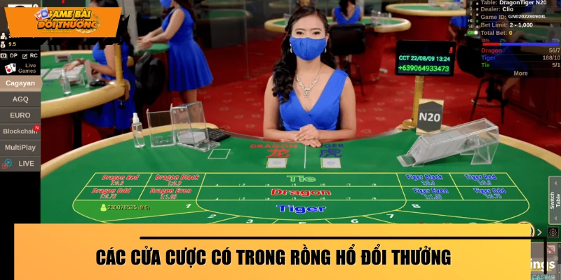 Các cửa cược có trong Rồng Hổ đổi thưởng