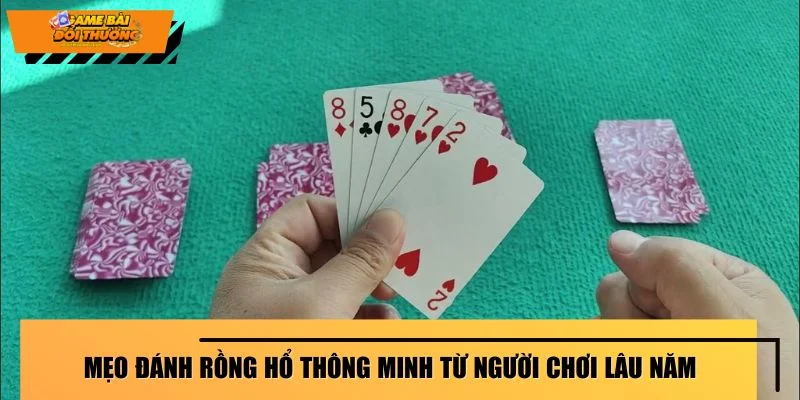Mẹo đánh Rồng Hổ thông minh từ người chơi lâu năm