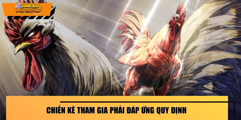 chien-ke-tham-gia-phai-dap-ung-quy-dinh