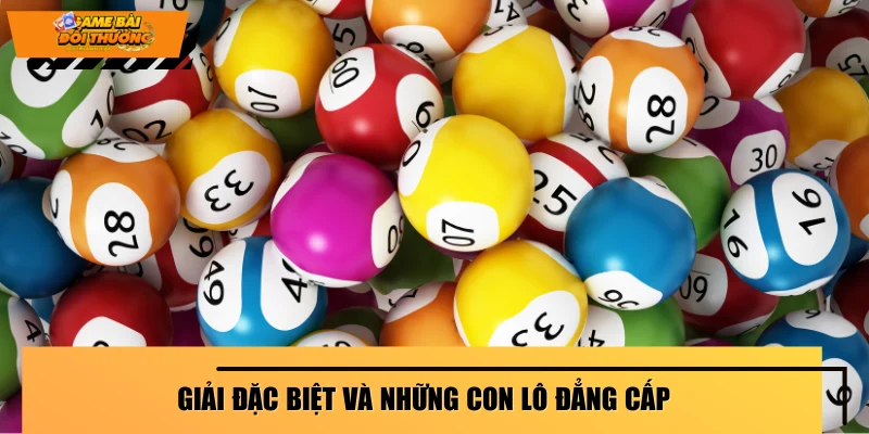 giai-dac-biet-va-nhung-con-lo-dang-cap