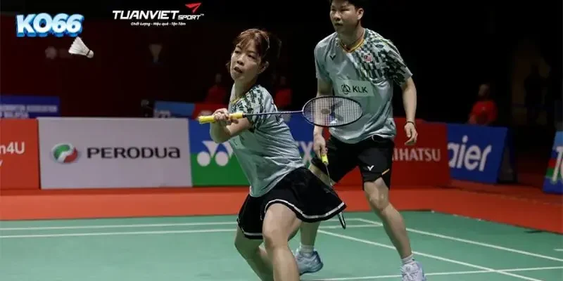 Giao diện bảng kèo cầu lông KO66 trực quan với dữ liệu thống kê chi tiết.