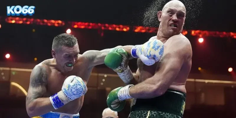 Cá Cược Quyền Anh WBC KO66: Cẩm Nang Bắt Kèo Đấm Bốc Đỉnh Cao 3 Bảng thống kê lịch sử đối đầu và chỉ số thể chất của các võ sĩ WBC tại nhà cái KO66.